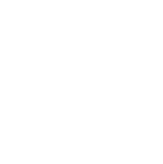 Bellussi Spumanti SRL Logo