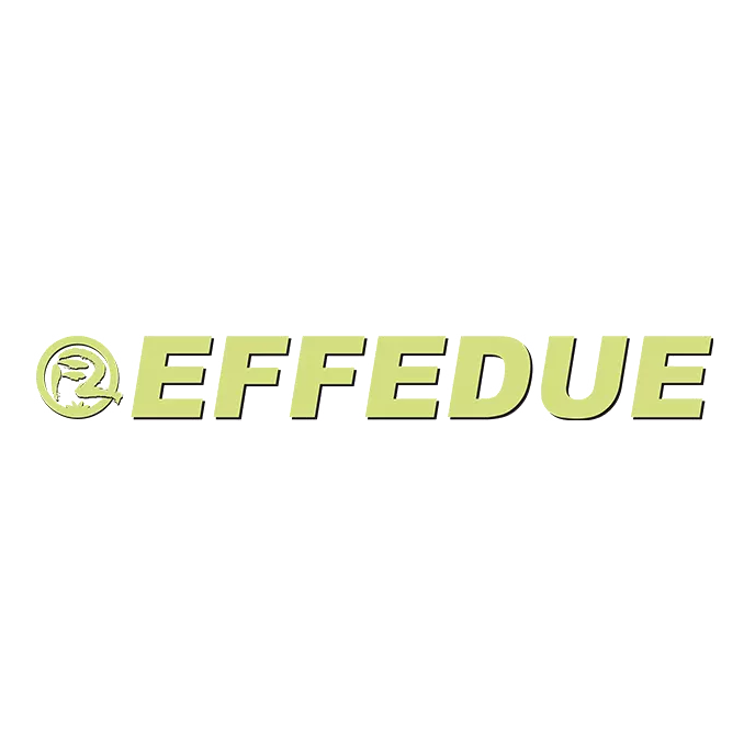 Effedue Logo