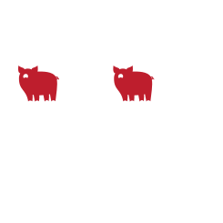 Salcis Sas di Morbidi Logo